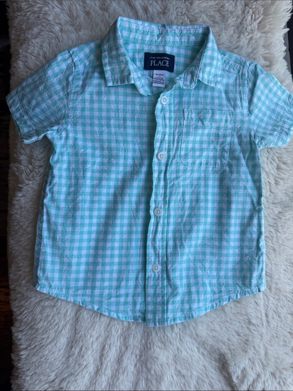 The Children's Place 18-24mos Mint Gingham Short Sleeve Button-Up Shirt